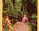 Vtg Postcard Southern Belles Flowers of the South - Cypress Gardens FL D... - $3.91