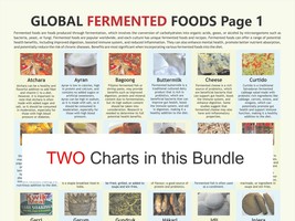 Fermented Foods Chart,  digital download PDF, global fermentation, Food ... - £4.75 GBP