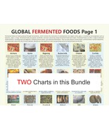 Fermented Foods Chart,  digital download PDF, global fermentation, Food ... - £4.80 GBP