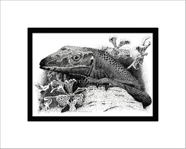 Rough-necked Monitor Pen and Ink Print, Reptile, Lizard - $24.00