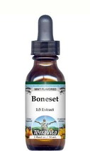Boneset Glycerite Liquid Extract (1:5) - Mint Flavored (1 oz, ZIN: 51321... - $25.86