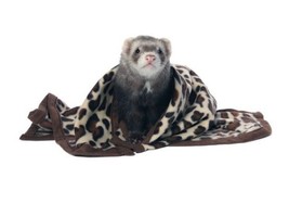 Marshall Designer Fleece Blanket for Small Animals - £32.82 GBP