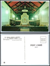 FLORIDA Postcard - St. Augustine, Roman Catholic Cathedral Q29 - £2.32 GBP