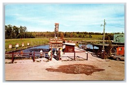 Imperial Trout Farm Indian River Michigan MI Chrome Postcard H19 - £2.33 GBP
