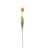 Tulip Floral Stem (Set of 6) - $60.72