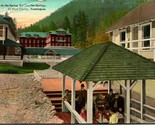 Vtg Postcard c 1908 Olympic Forest At the Springs Sol Duc Hot Springs UNP - £8.69 GBP