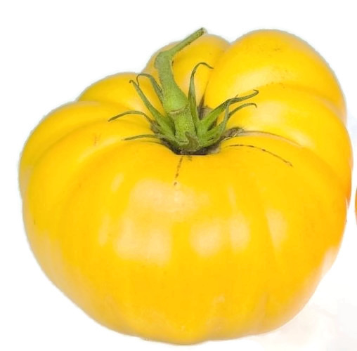 1 Oz Tomato Seeds Yellow Brandywine Yellow Tomatoes 10000Ct New Fresh US... - $97.50