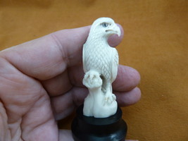 (EAGLE-20) white Bald Eagle standing shed ANTLER figurine Bali detailed carving - £42.41 GBP