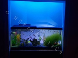 Voice Controlled Fish Tank LED Lights with 20 Color Options - £22.45 GBP+