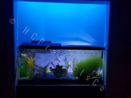 Voice Controlled Fish Tank LED Lights with 20 Color Options - £22.94 GBP+