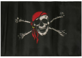 12X18 12&quot;X18&quot; Jolly Roger Pirate Red Hat Sleeve Flag Boat Car Garden - £11.18 GBP