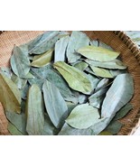 Organic Dried Soursop Guanabana Graviola Guyabano Leaves zipbag 1kg - $26.00
