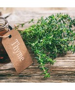 SDC German Winter Thyme Seeds Organic Seeds Easy Grow - $14.20
