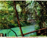 Vtg Postcard 1906 Swinging Bridge Big Tree Grove Santa Cruz, CA Undiv.  - £4.65 GBP