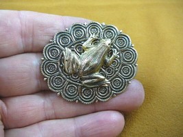 (b-frog-159) Frog pond sitting baby frog on oval brass pin pendant amphi... - $17.75