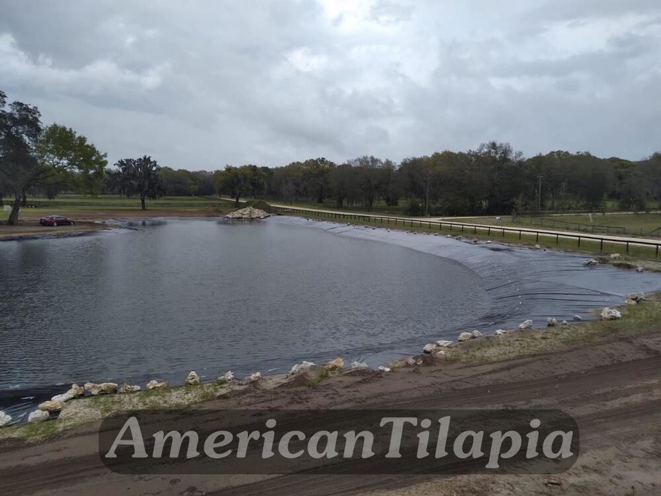 18x30 Pond Liner Strong & Durable Fish Pond Liner for Outdoor Ponds, Aquaculture Item image 12