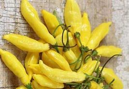25 Pepper Yellow Lemon Drop Seeds  - £10.82 GBP