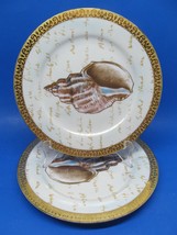 Royal Gallery Gold Buffet Sea Shell 8.5&quot; Salad Plates Bundle of 2 - £23.32 GBP