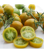 New Fresh 50 Seeds Aunt Rubys German Cherry Tomato Juicy Vegetable Garden - $11.45