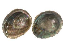 Large Mother of Pearl Abalone shell Jewlery dish decor 6&quot; x 5&quot; - £37.26 GBP