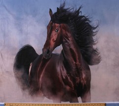 36.5&quot; X 44&quot; Panel Wild Stallion Horses Equestrian Cotton Fabric Panel D474.50 - £12.15 GBP