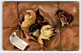 Easter Postcard Baby Chick Heads Pop Out Of Package Series 700 Tuck 1909 - £8.54 GBP