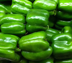 BStore Green Bell Pepper Seeds 30 Keystone Resistant Giant Sweet Pepper - £6.73 GBP