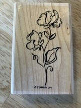 Stampin&#39; Up Mounted Stamp From Echoes of Kindness Set Sweet Pea - £7.25 GBP