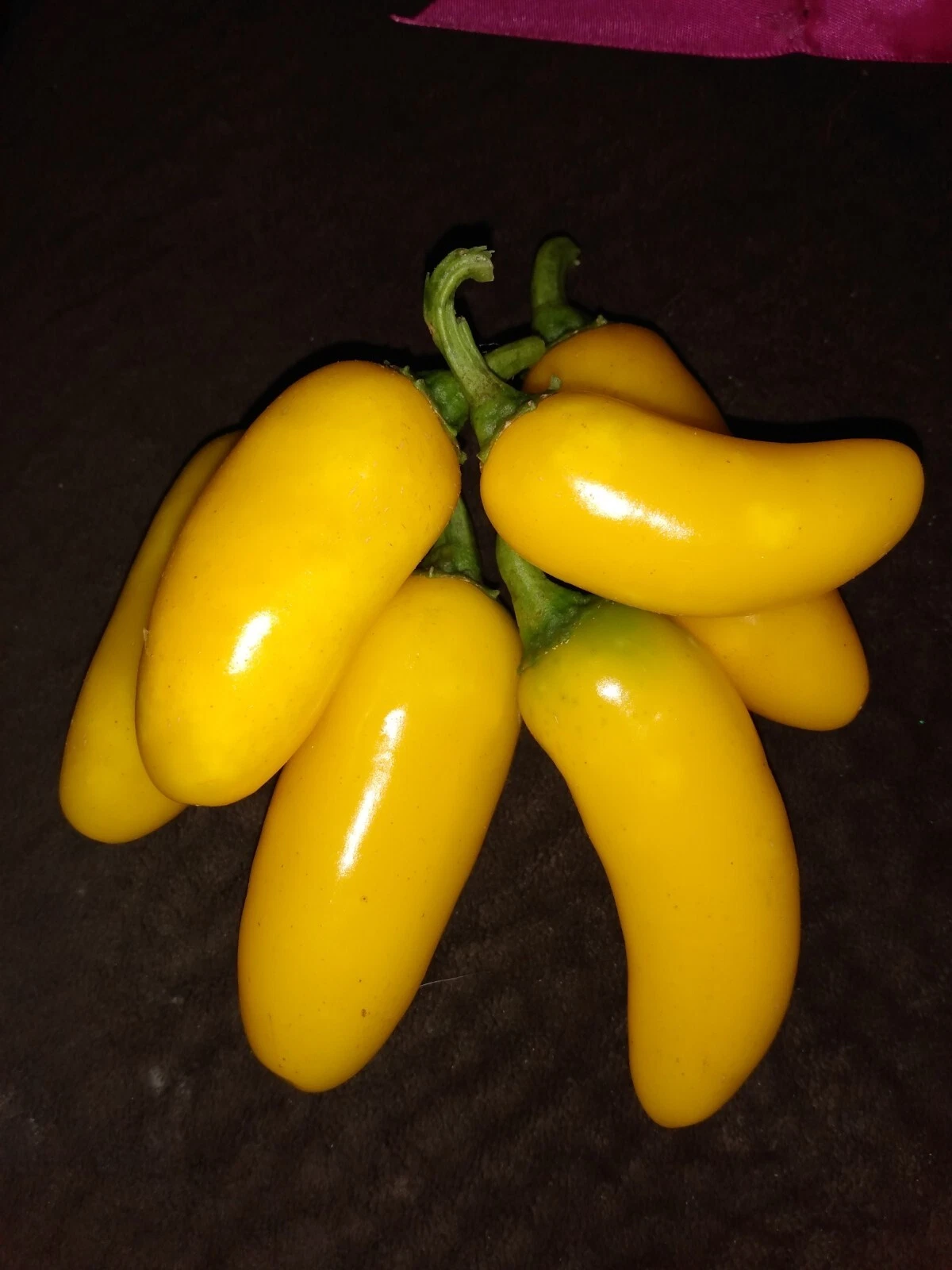 Numex Lemon Spice Jalapeno 10 Seeds Organic Non GMO - $26.44