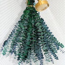 18 Pcs Dried Preserved Eucalyptus Stems for Shower 17&#39;&#39; Real Hanging Eucalyptus  - £25.43 GBP