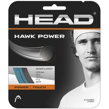 HEAD Hawk Power Tennis String Set - $20.99