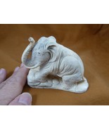 ele-w47) Elephant of shed ANTLER figurine Bali detailed love wild elepha... - $6,196.04 MXN