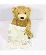 Gund Baby Peek A Boo Bear 320193 Plush Interactive Toy Stuffed Animal - ... - $18.76