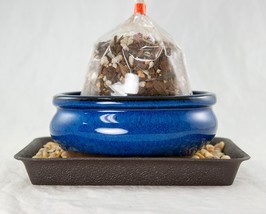 Oval Blue Glazed Bonsai, Succulent Pot + Soil + Tray + Rock + Mesh - 5&quot;/6&quot; Kit - £19.97 GBP+