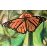 Butterfly  - €43,12 EUR
