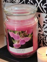 Luxury Single Wick Sweet Pea Candle 20 Oz, OOP, A+ Cold Throw Glass Lid Pink - £17.69 GBP