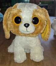 Ty Beanie Boo Boos Cookie Dog Brown Tan White 6&quot; Solid Eye Plush - £3.95 GBP