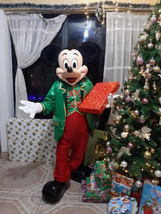 Mickey Mouse Fiberglass head Character Mascot Costume Cosplay Party Even... - $460.00