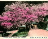 Vtg Postcard 1910s Nagasaki Hoataru-Chaya Cherry Blossoms - Unused Tinted - $41.53