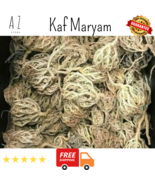 Flowers of Maryam kaf maryam Anastatica hierochuntica كف مريم - £15.00 GBP+
