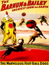 9576.Barnum and Bailey.marvelous foot-ball dogs.POSTER.decor Home Office art - £13.71 GBP+