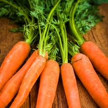50 seeds - Non GMO - Scarlet Nantes Carrot Heirloom Fresh Sweet Crispy - $7.99