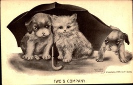 Vintage Signed V Colby Cat Dogs Two&#39;s Company Postcard Copyright 1909-bk45 - £3.15 GBP