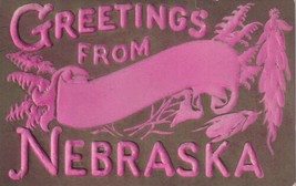 Greetings from Nebraska NE Hot Pink Heavily Embossed Postcard C53 - £2.36 GBP