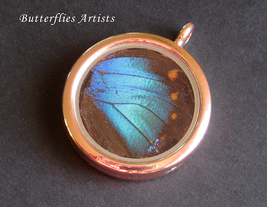 Real Butterfly Wing Necklace Keychain Jewelry Blue Reflector Prepona Chromus - £43.95 GBP
