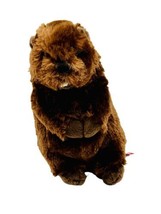 Douglas Cuddle Toys BUDDY BEAVER Plush Stuffed Animal 4037 - £15.68 GBP