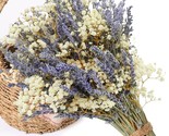 Dried Lavender &amp; Baby&#39;S Breath Flowers Bundles, Dried Flower Bouquet For... - $37.99