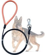 Heavy Duty Dog Leash, Chew Proof Metal Leash for Large Dogs (Up to 250Lb... - €10,61 EUR