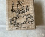 EASTER BUNNY RABBIT PAINTING Easter eggs SPRING Animal Stampin&#39; Up! RUBB... - £9.58 GBP