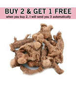 Buy 2 Get 1 Free | 100 Gram Galangal Whole Dried Roots - خلنجان - £27.09 GBP